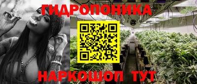 героин Кимры