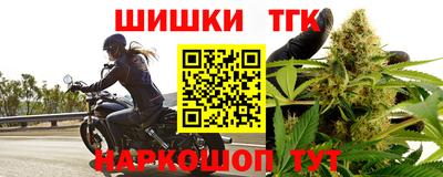прущие крисы Кингисепп