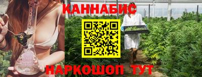 прущие крисы Кингисепп