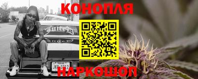 прущие крисы Кингисепп