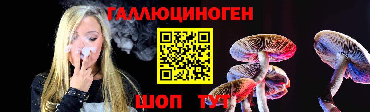 Псилоцибиновые грибы Psilocybe Аксай